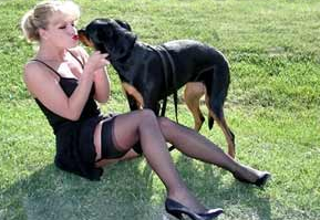 BEASTIALITY OKAY IN THE TALMUD Untitled