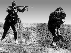 Fälschung der Wehrmachts - Ausstellung