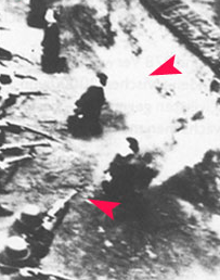 Фалшификат - пропаганда.