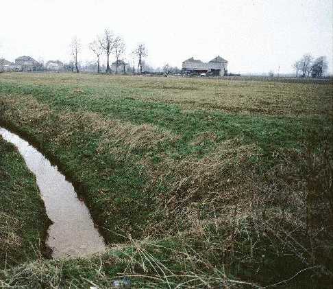 birk11.jpg - 39,77 K