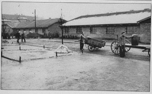 birk12.jpg - 27,53 K