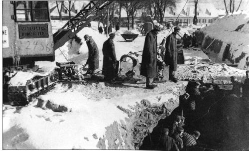 birk13.jpg - 36,67 K