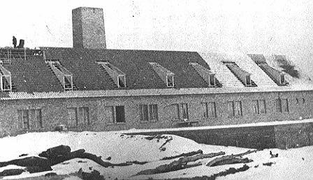 birk19.jpg - 33,68 K