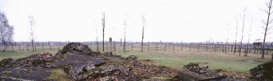 birk27.jpg - 24,26 K