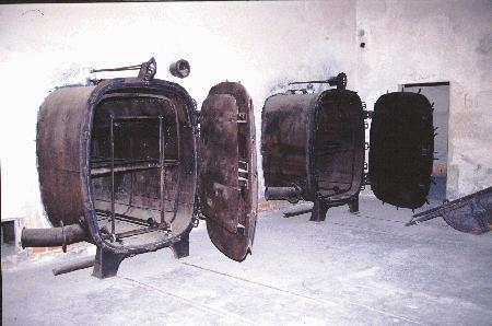 birk26.jpg - 25,62 K