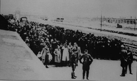 birk22.jpg - 20,18 K