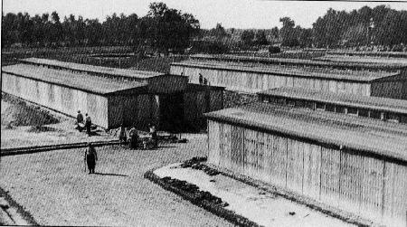 birk17.jpg - 35,96 K