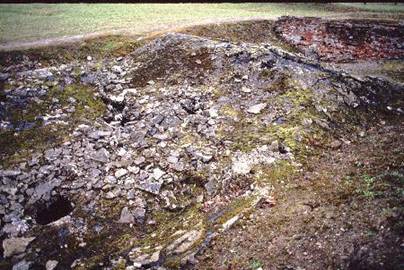 birk16.jpg - 57,92 K