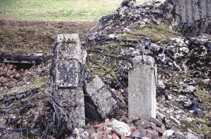 birk21.jpg - 59,54 K