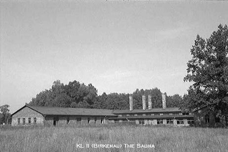 birk24.jpg - 27,91 K