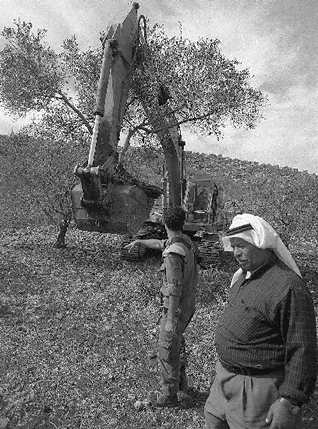 Confiscating Palestinian